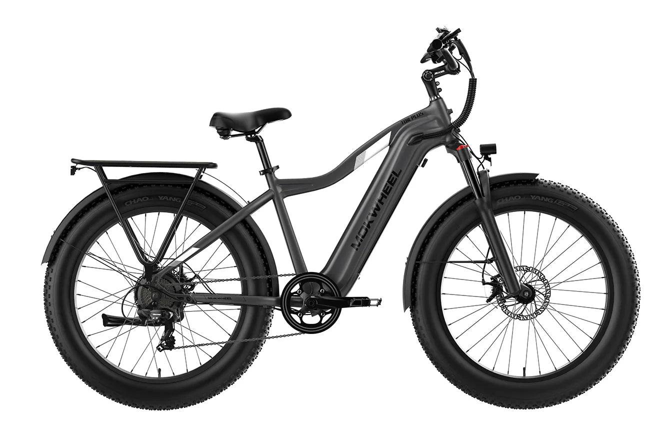 Grey MOKWHEEL Tor Plus 750W step-over electric bike with 26x4 fat tires, beach cruiser style, shown in product image.