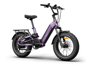 Side view of the Himiway D5 2.0 eBike in Nebula Mist color, featuring 20-inch wheels, a step-through frame, and a rear cargo rack.