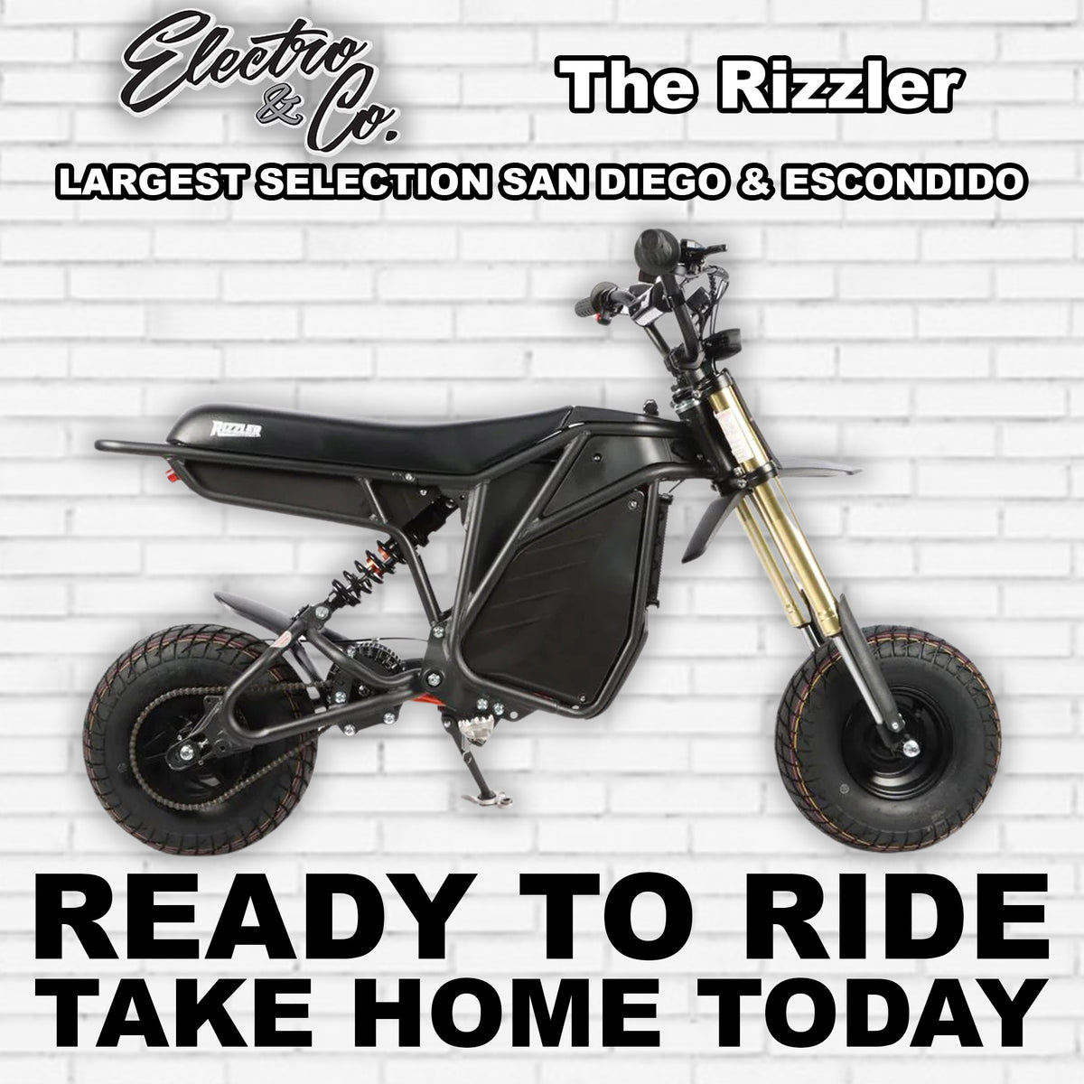 eMOTO Electro & Co The Rizzler electric bike in black, side view, product image