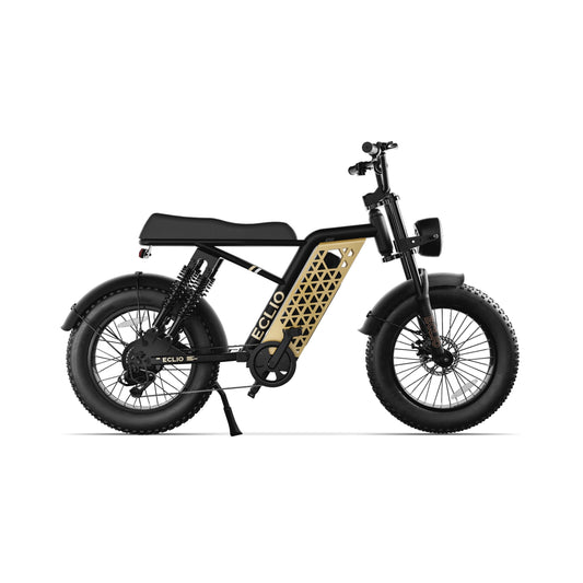eBike Eclio Vetus 1 - Obsidian Gold - Ready to Ride