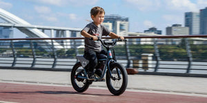 eMOTO HIMIWAY C1 Kids E-Bike, 350W step-over electric bike with 16x3 inch fat tires, mini fat tire e-bike, product image