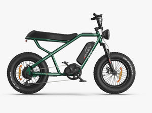 Side view of the eMOTO RAEV Bullet X Emoto eBike, a 750W electric bike, showcasing its sleek black frame, thick tires, and modern design features.