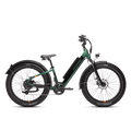 RadRover™ 6 Plus Electric Fat Tire Bike