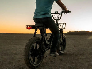 Himiway Escape Pro 750W step-thru e-moto style electric bike with 20x4 fat tires, shown in side profile.