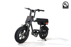 eBike Rictor Flexx in black color, packaged inside a box