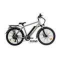 Gray eBike Revi Oasis.2 in its original packaging box