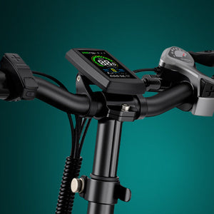 ENGWE L20 2.0 electric bike in black, shown from a side angle with a step-through frame, front basket, rear rack, and fat tires, displayed on a white background.