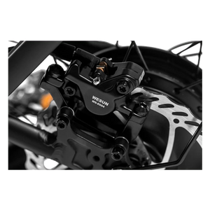 Electric bike with a step-through frame, upright handlebars, rear cargo rack, and wide tires, shown in an outdoor setting.