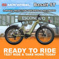 Green Mokwheel Basalt ST eBike, size Large, ready to ride, side view against a plain background