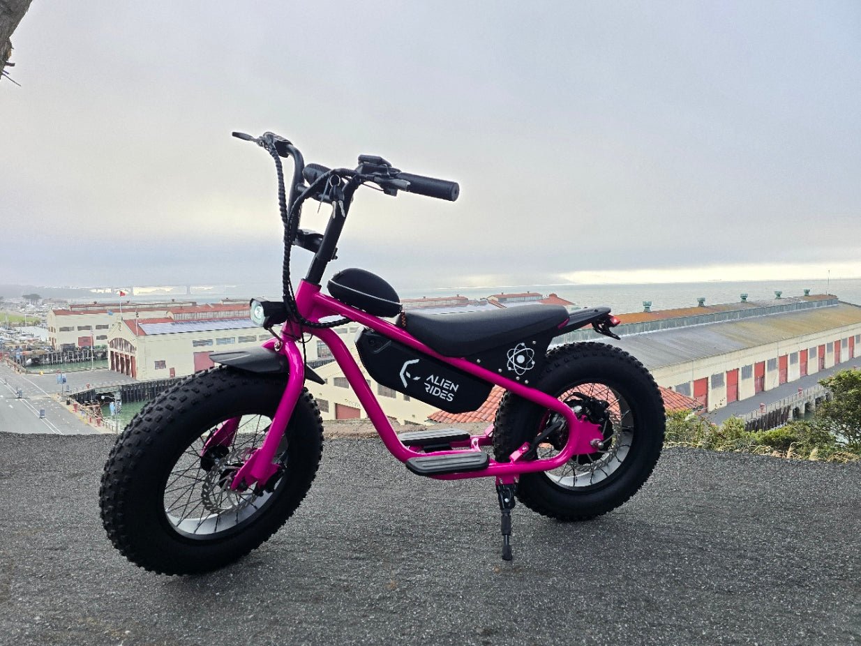 AR Atom 1000 Watt Mini Electric Bicycle - sku-44251933606142 eBike Super Shop