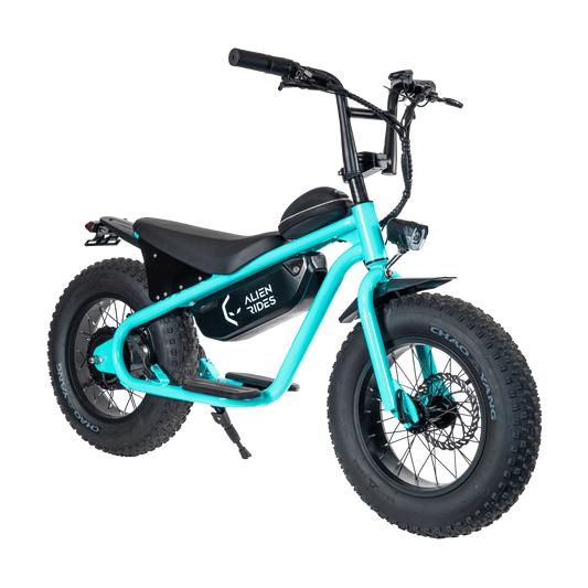 AR Atom 1000 Watt Mini Electric Bicycle - sku-45569650884862 eBike Super Shop