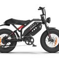 RAEV Bullet GT V2 Electric e-Moto Style eBike-Moto 1000 w Electric Pit Bike