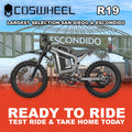Coswheel R19 electric bike in gray color, side view, model number R2R 00810206242377