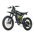 eBike Coswheel R6000