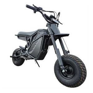 Electro & Co The Rizzler Sport