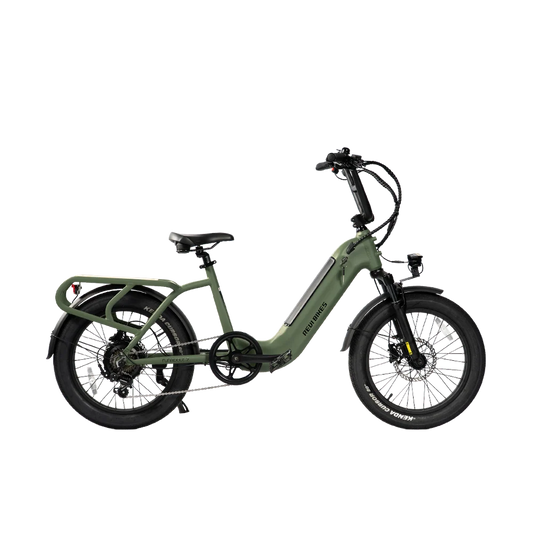 eBike Revi Runabout.2 - Wild Green - Ready to Ride
