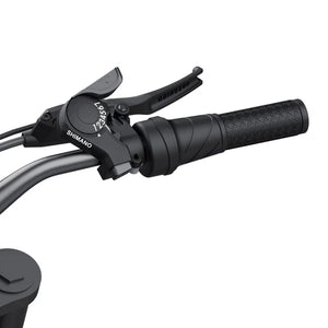 Coswheel R19 electric bike in black, shown from a side angle on a white background, highlighting its thick tires, sturdy frame, and modern design.