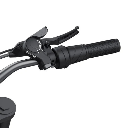 Coswheel R19 electric bike in black, shown from a side angle on a white background, highlighting its thick tires, sturdy frame, and modern design.