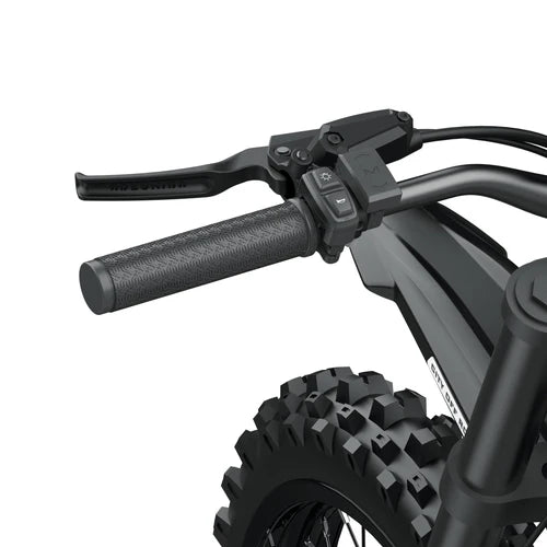 Coswheel R19 electric bike in black, shown from a side angle with thick tires, front suspension, and a sturdy frame, displayed on a white background.