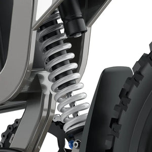 Coswheel R19 electric bike in black, shown from a side angle with thick tires, front suspension, and a sturdy frame, displayed on a white background.