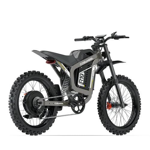Coswheel R19 electric bike in gray, side view, showcasing its frame, wheels, and battery compartment