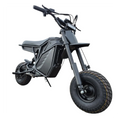 A black eBike Electro & Co The Rizzler electric bicycle displayed in a showroom, available for in-store pickup only.