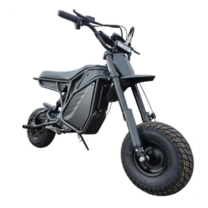 A black eBike Electro & Co The Rizzler Sport electric bicycle displayed in a showroom, available for in-store pickup only.