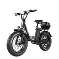 A white FREEGO FB-20X step-thru electric cargo eBike with a rear cargo rack, 750W motor, and commuter-friendly design, shown from a side angle.