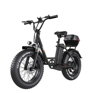 A white FREEGO FB-20X step-thru electric cargo eBike with a rear cargo rack, 750W motor, and commuter-friendly design, shown from a side angle.