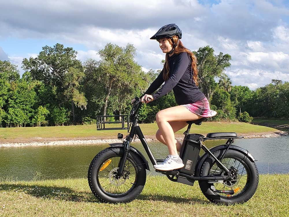 A FREEGO Electric Cargo eBike FB-20X Step-Thru commuter eBike with a 750W motor, shown in a side view highlighting its step-thru frame and cargo-carrying capabilities.