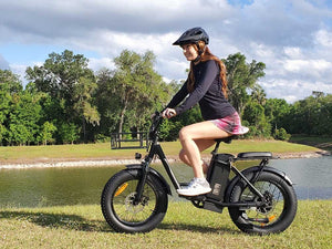 A FREEGO Electric Cargo eBike FB-20X Step-Thru commuter eBike with a 750W motor, shown in a side view highlighting its step-thru frame and cargo-carrying capabilities.