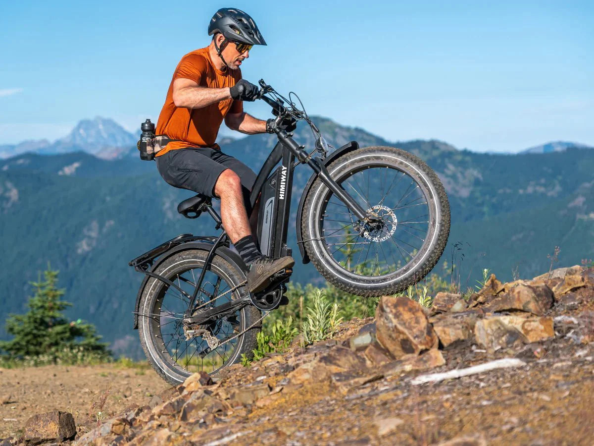 HIMIWAY Cruiser D3 750W Step Over eBike with 26x4 fat tires, electric beach cruiser, product image showing black frame and wide tires
