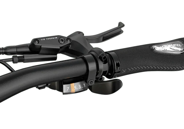 eBike Mokwheel Basalt ST - Green L - eBikes - MOKWH|3034 eBike Super Shop