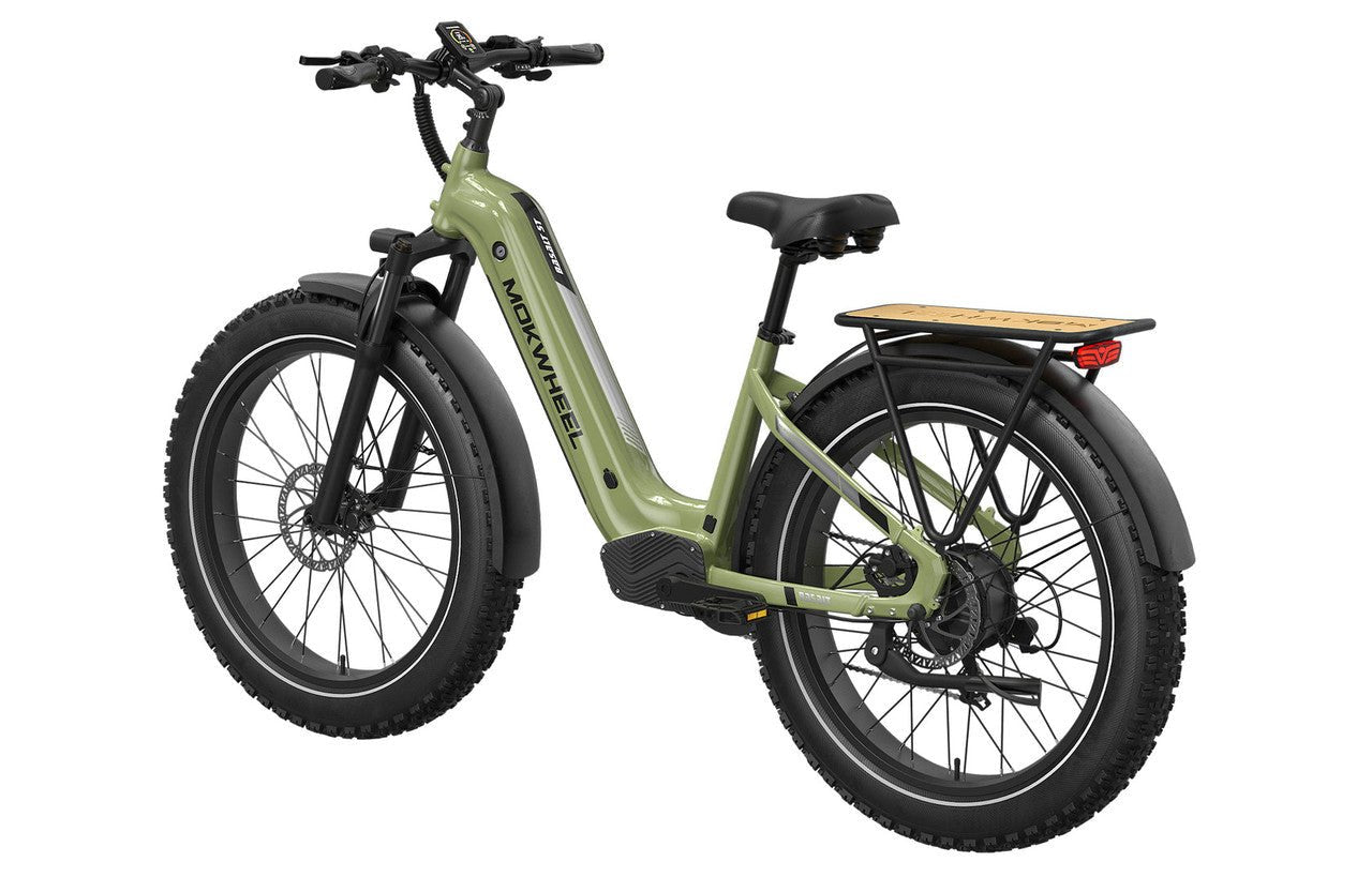 Buy eBike Mokwheel Basalt ST - Green L Online - In Stock Now