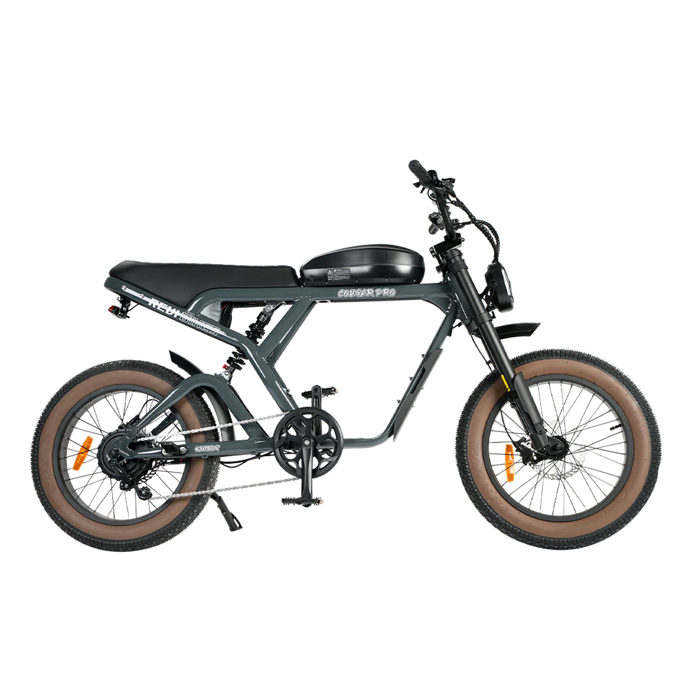 Electric bike, eBike Revi Cougar model in anthracite color, side view, isolated on white background