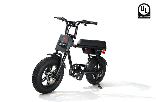 eBike Rictor Flexx in black color, packaged inside a box
