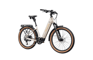 Platinum Silver Velotric Discover M eBike side view against a white background