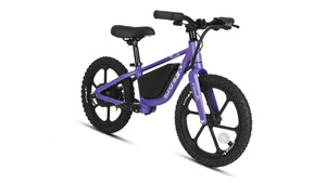 EKIDS16 1.0 - Electric Bicycle - EKIDS-16-BK eBike Super Shop