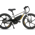 EKIDS20 1.0 - Electric Bicycle - EKIDS-20-GR eBike Super Shop