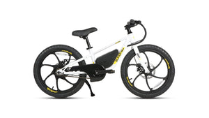 EKIDS20 1.0 - Electric Bicycle - EKIDS-20-WT eBike Super Shop
