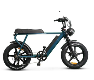 Ernie - Ebike - sku - 44880280256813 eBike Super Shop