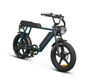 Ernie - Ebike - sku - 44880280322349 eBike Super Shop