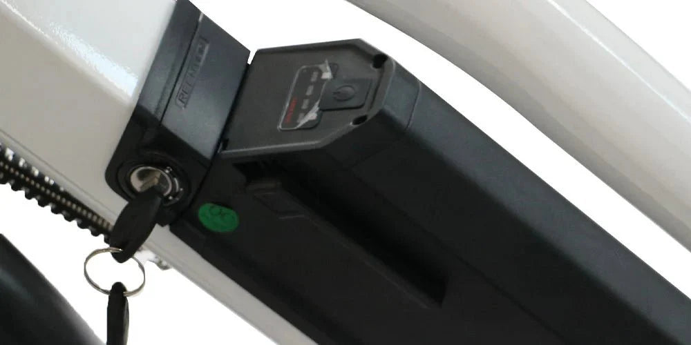 EUNORAU Max Cargo 750w Step Thru eBike 24x2.4 Road Electric Cargo eBike - Cargo eBike - EUNOR|CARGO|GREEN14AH|0357 eBike Super Shop