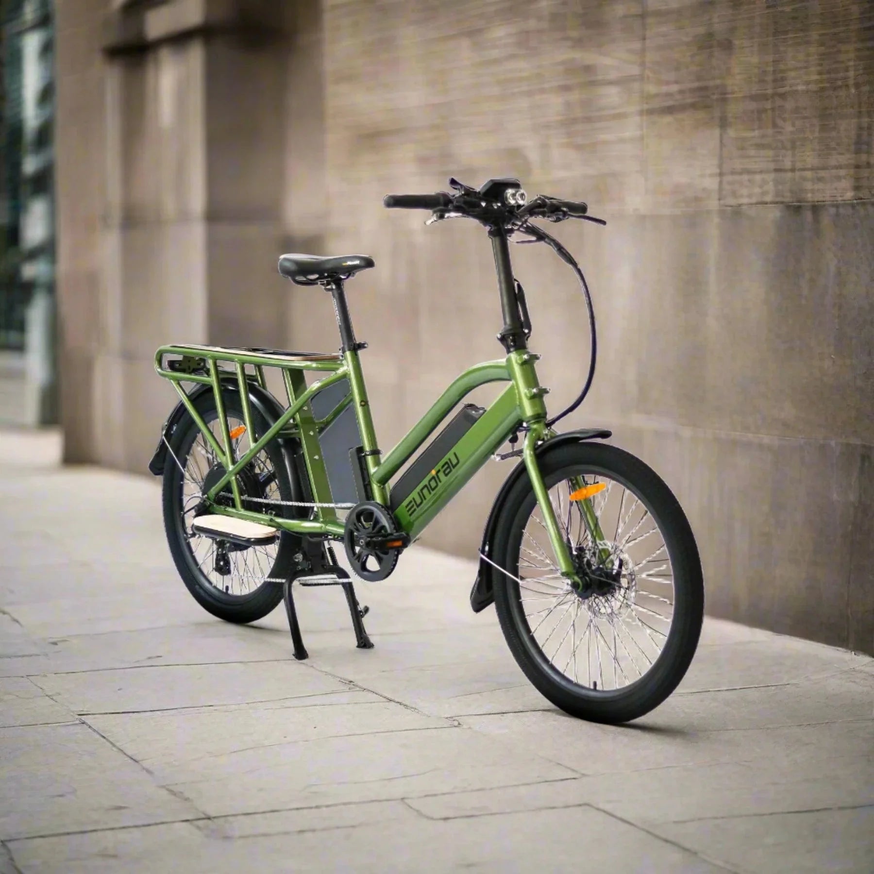 EUNORAU Max Cargo 750w Step Thru eBike 24x2.4 Road Electric Cargo eBike - Cargo eBike - EUNOR|CARGO|GREEN14AH|0357 eBike Super Shop