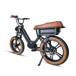 FLASH LITE ST 1.0 - Electric Bicycle - FLSHST2019BK1US eBike Super Shop