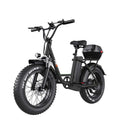 FREEGO Electric Cargo eBike FB - 20X Step - thru - Step Thru 750 w Electric Communter eBike - Cargo eBike - FREEG|1829 eBike Super Shop