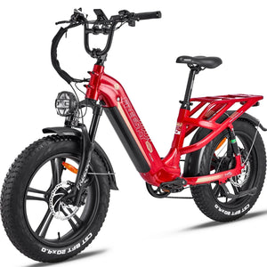 FREESKY Rocky 750 w Step Thru Ebike 20x4 Fat Electric Cargo eBike - Cargo eBike - eBike Super Shop