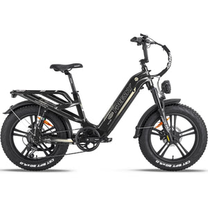 FREESKY Rocky 750 w Step Thru Ebike 20x4 Fat Electric Cargo eBike - Cargo eBike - eBike Super Shop