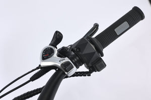 GhostCat F3X shifter and right grip