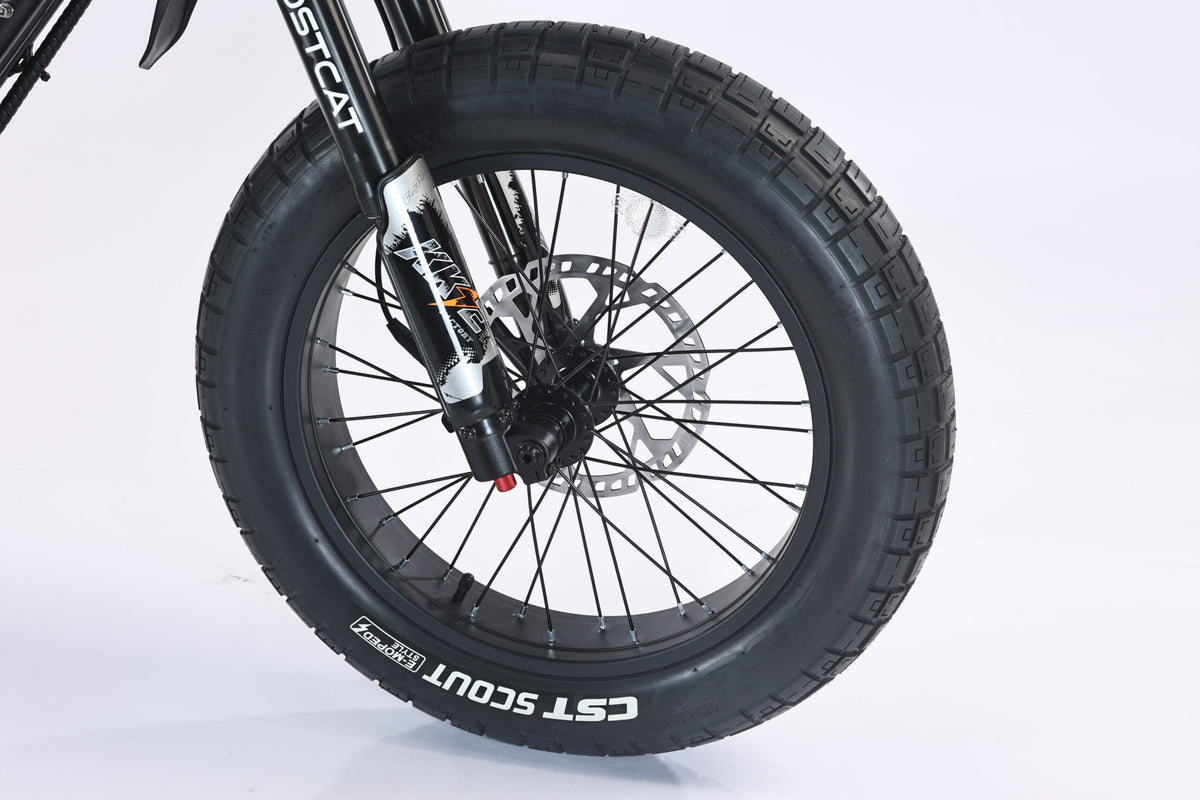 GhostCat F3X front fork and fat tire